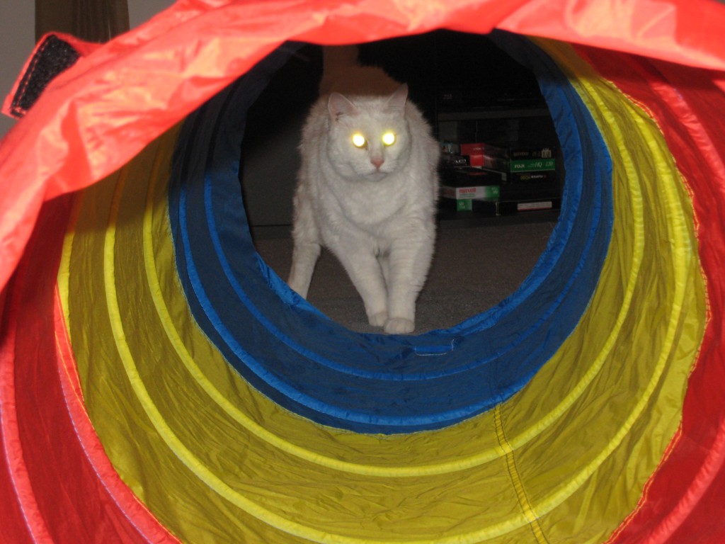 Mugga in tube